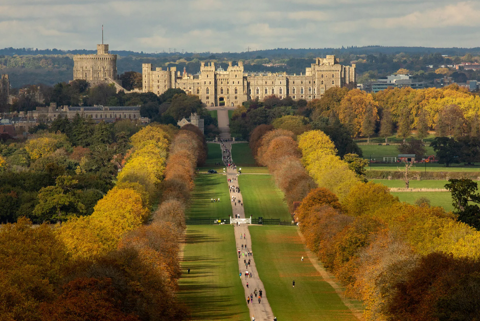 windsor